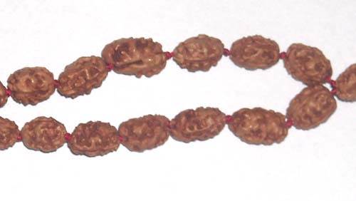 Three mukhi rudraksh mala (java)